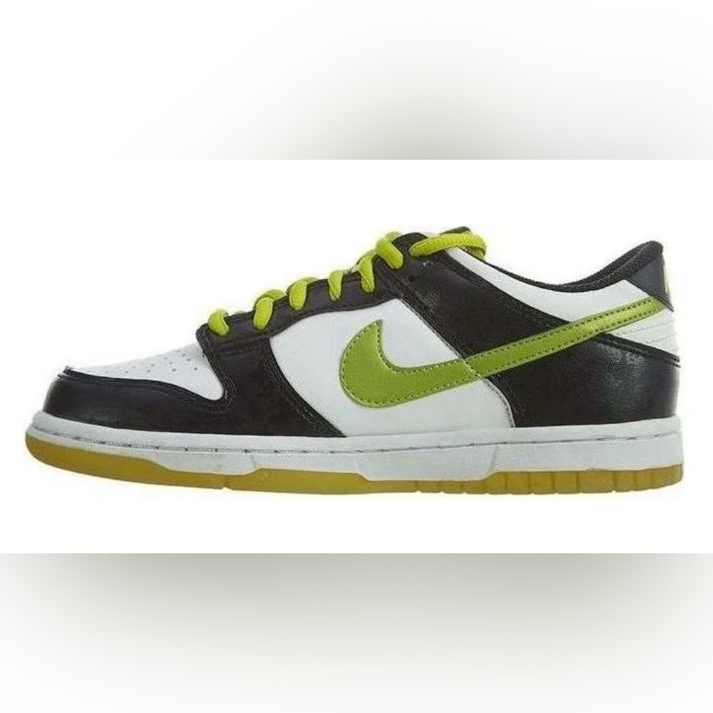 Nike Dunk Kids' Black, White, and Cactus Green Sneakers